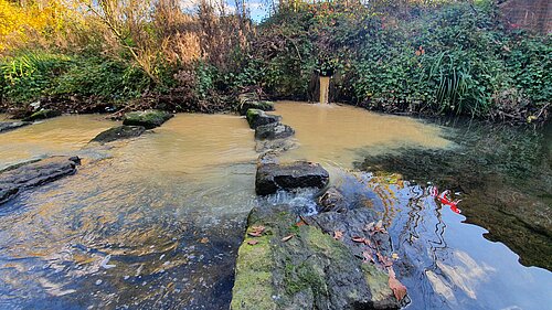 Illustrating polluted waterways 